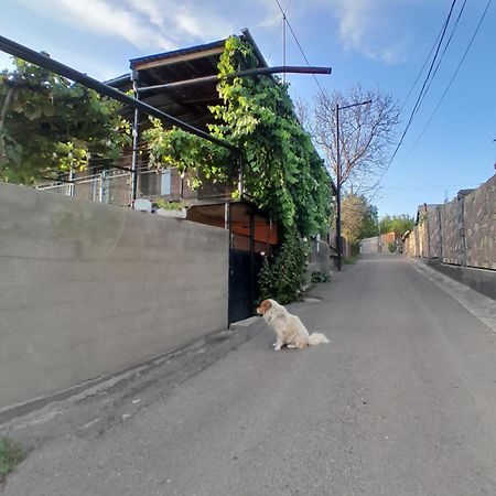 Akhaltsikhe Hotel “Sunny House” エクステリア 写真