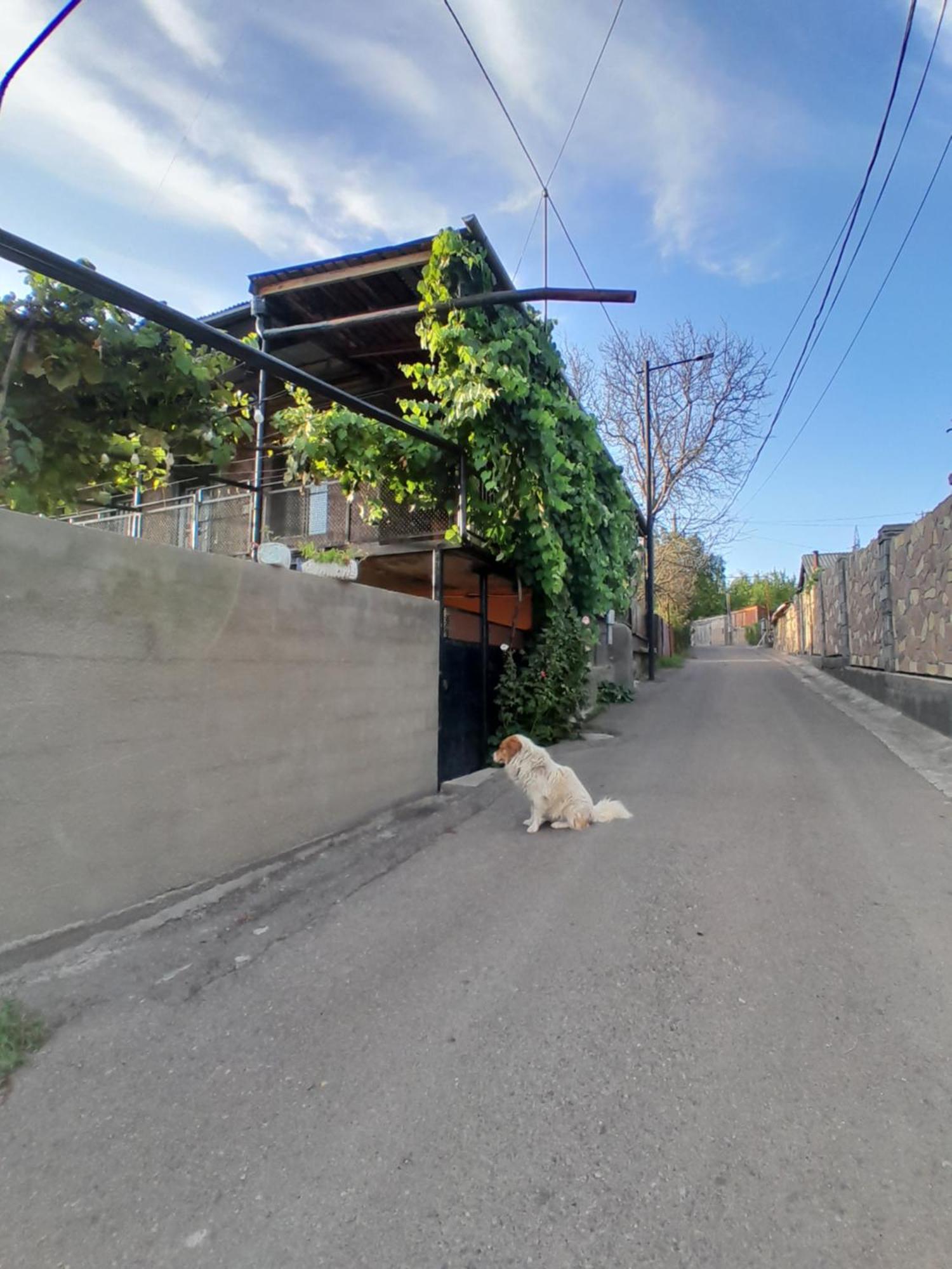 Akhaltsikhe Hotel “Sunny House” エクステリア 写真